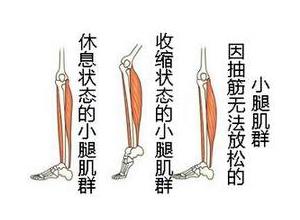 简介